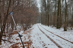 GEMA_012026